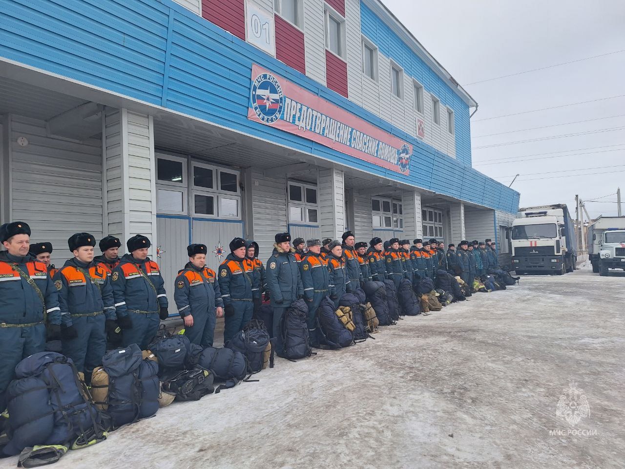 «Сотрудники
