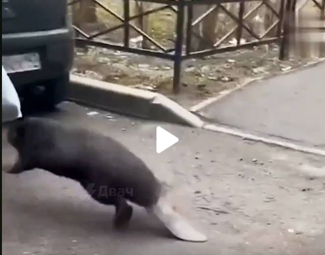 «Мартовские
