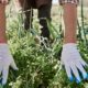 close-up-man-taking-care-her-garden_329181-16492