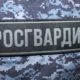 Наряды Росгвардии традиционно дежурят на массовых мероприятиях