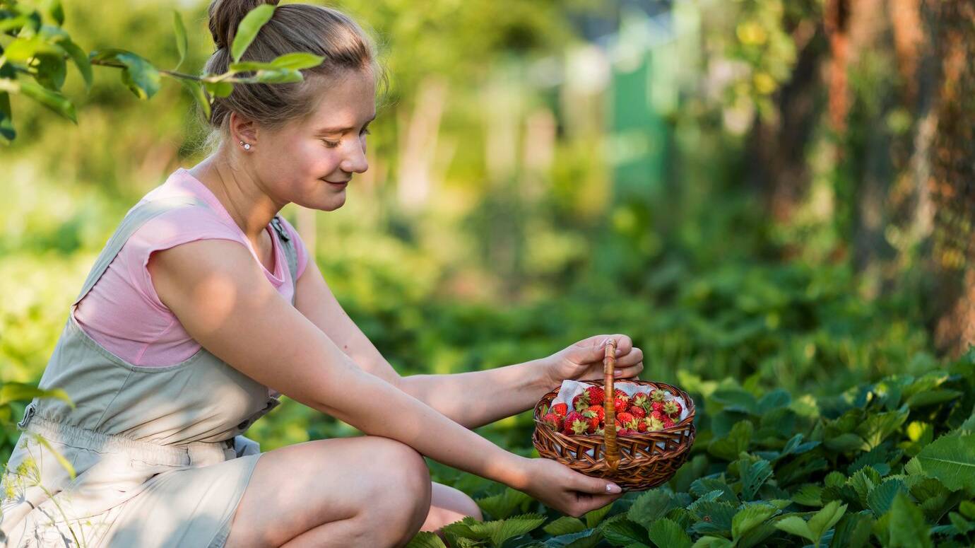 side-view-woman-holding-fruits-basket_23-2148617195