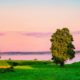 Дача Деревня деревья pixabay.com