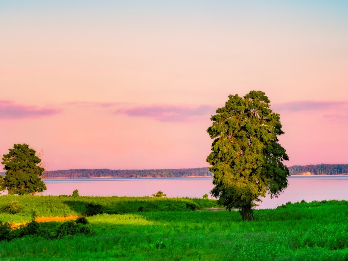 Дача Деревня деревья pixabay.com Дача Деревня деревья pixabay.com