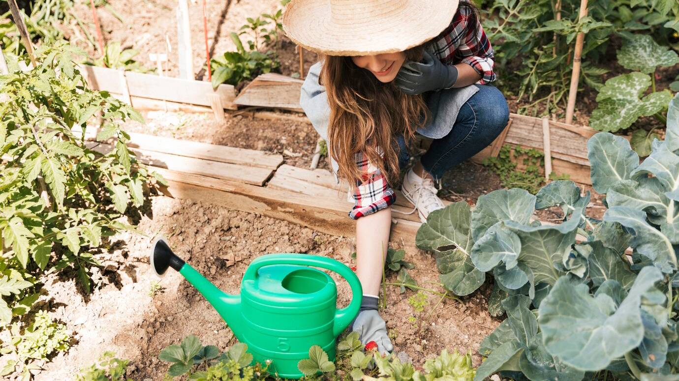 overhead-view-smiling-female-holding-grown-fresh-strawberry-plant-garden_23-2148165284