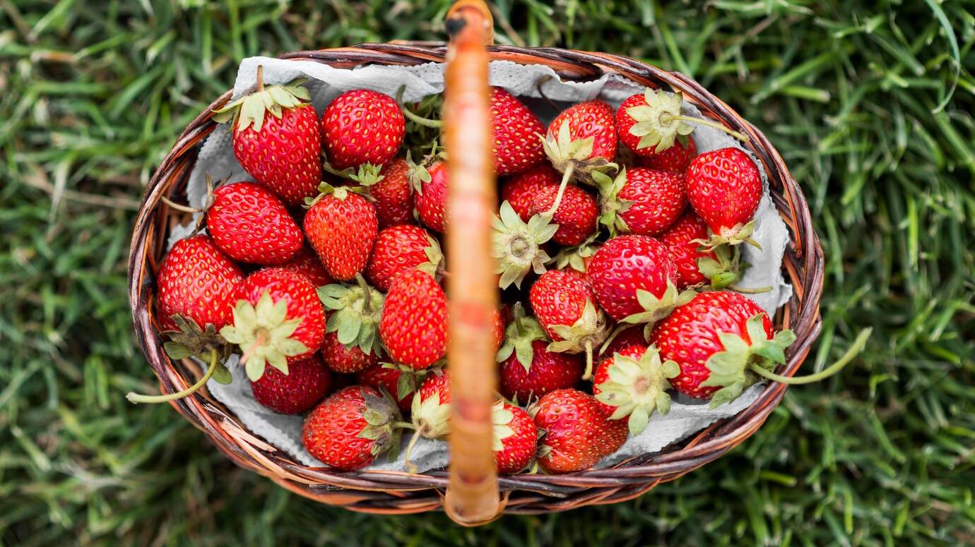 top-view-tasty-strawberry-basket_23-2148617186