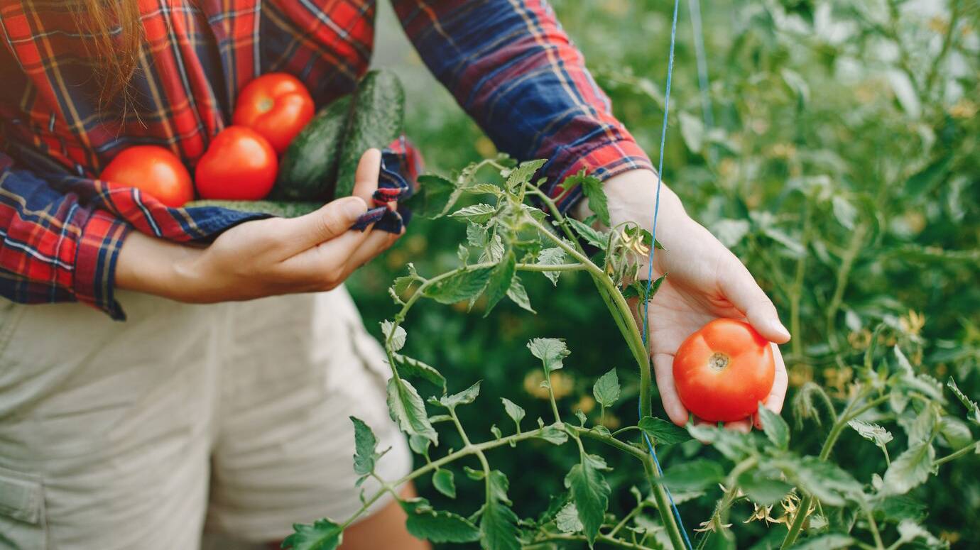 beautiful-woman-works-garden_1157-24640 beautiful-woman-works-garden_1157-24640