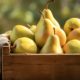 close-up-pear-seasonal-fruit-winter_23-2151035537