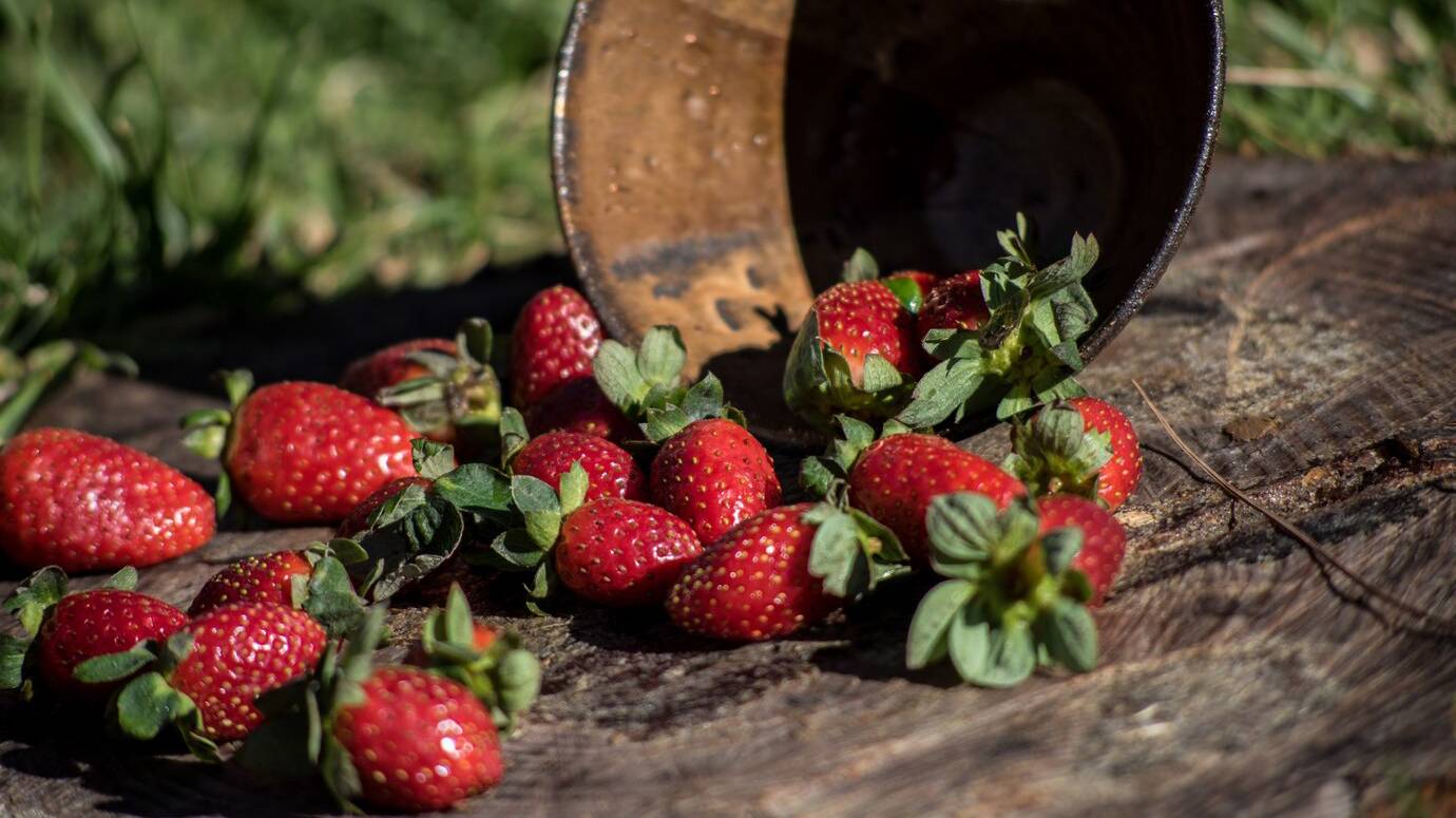 closeup-shot-fresh-strawberries-fallen-out-bowl-wooden-surface_181624-19494 closeup-shot-fresh-strawberries-fallen-out-bowl-wooden-surface_181624-19494
