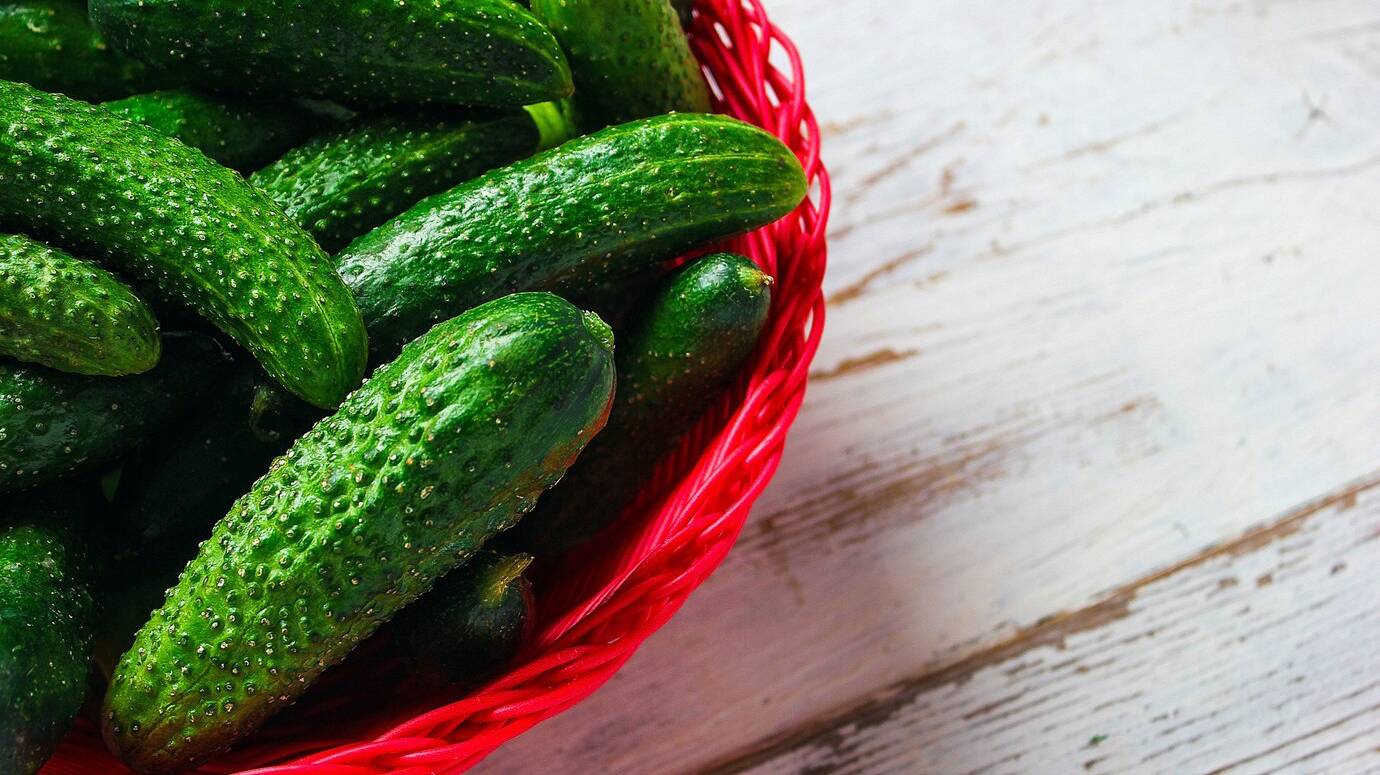 fresh-organic-cucumbers-red-basket-white-wooden-table-with-green-red-chili-peppers-fennel-salt-black-peppercorns-garlic-pea-close-up-healthy-concept-top-view-flat-lay_114579-1213