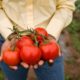 high-angle-woman-holding-tomatoes_23-2149894705