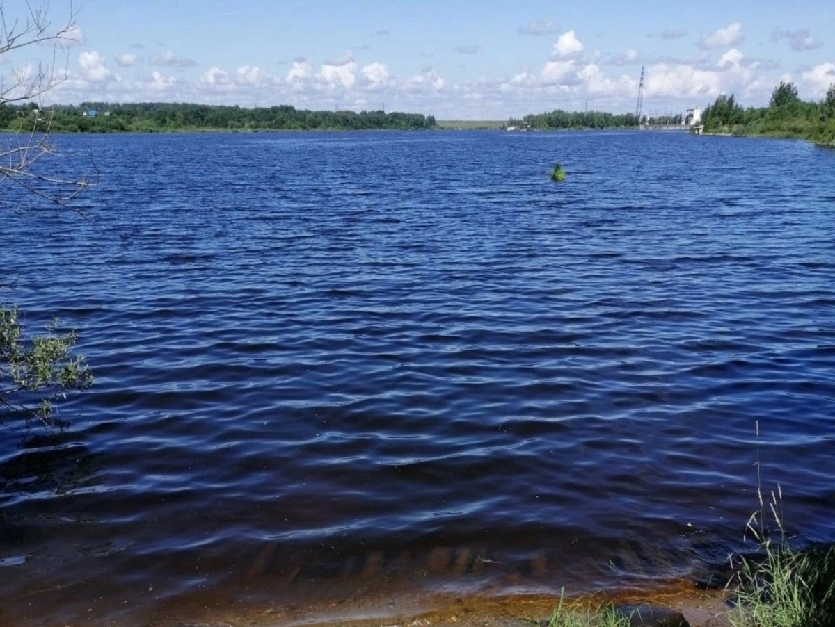Место трагедии на Шексне Место трагедии на Шексне