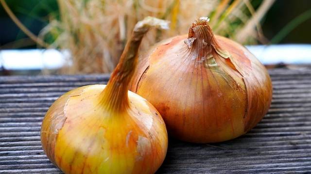 onions-5437569_640