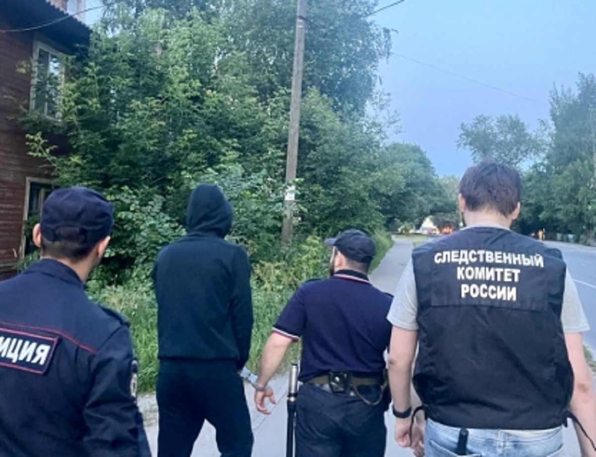 Проверка показаний на месте Проверка показаний на месте