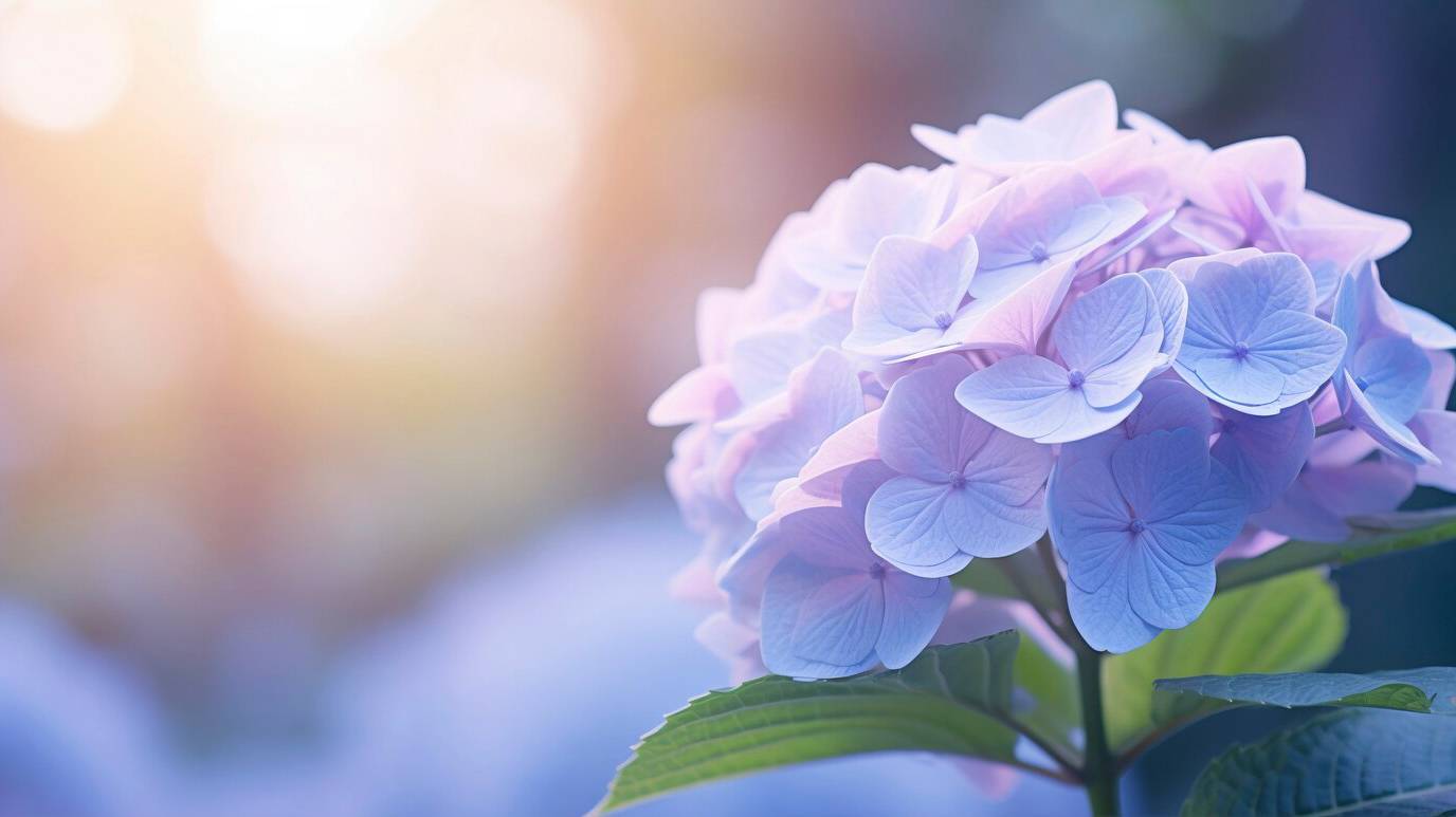beautiful-flower-nature_23-2150788695