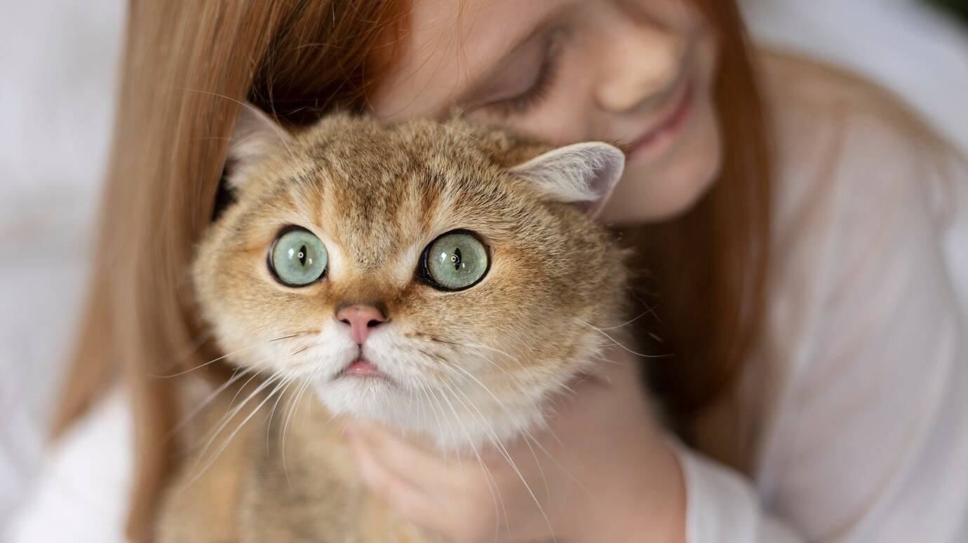 close-up-beautiful-cat-with-little-girl_23-2149214375