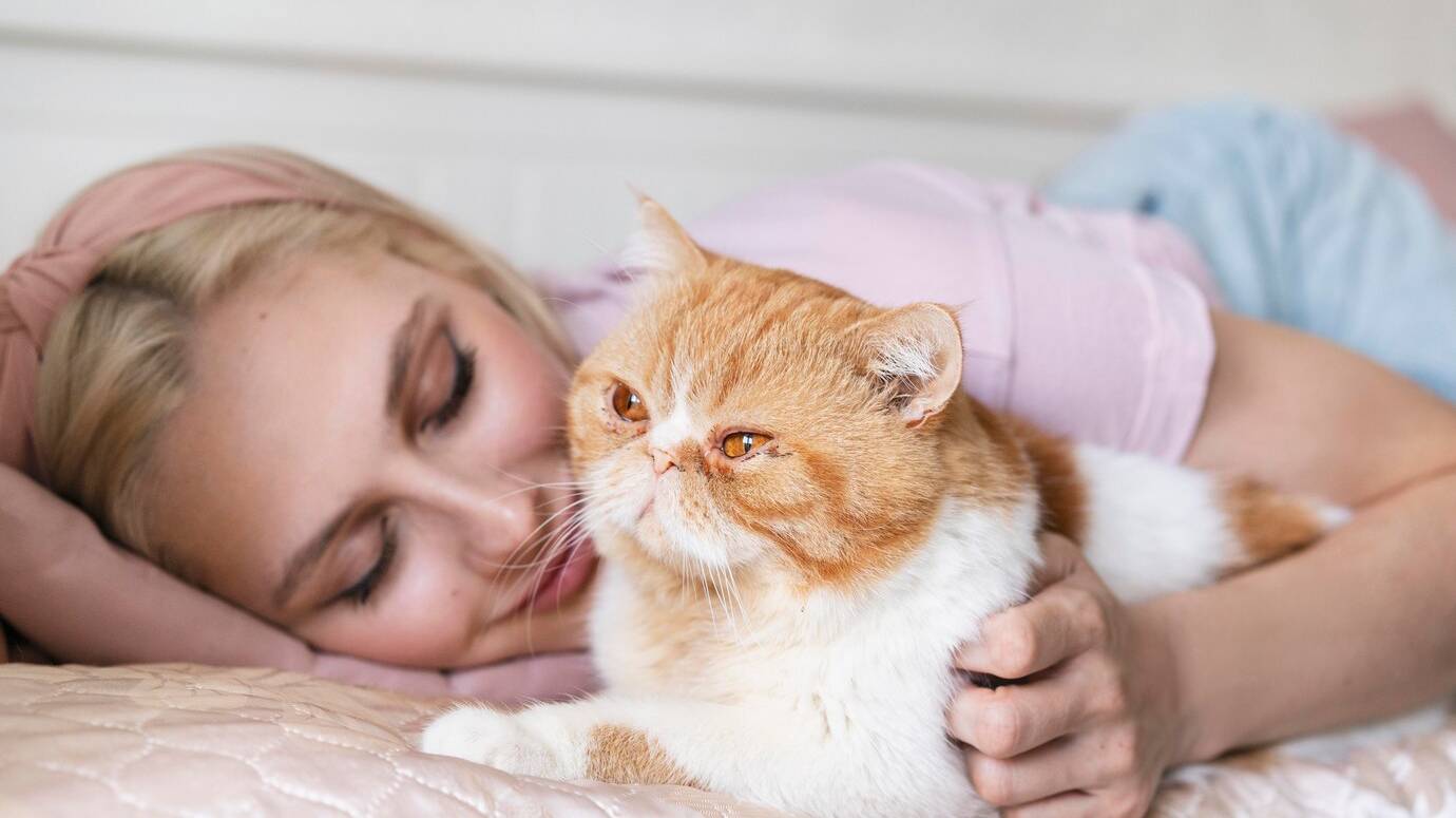 close-up-woman-laying-with-cute-cat_23-2149078331