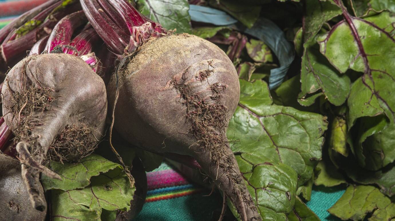 closeup-shot-fresh-organic-beets_181624-45829
