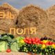 День поля