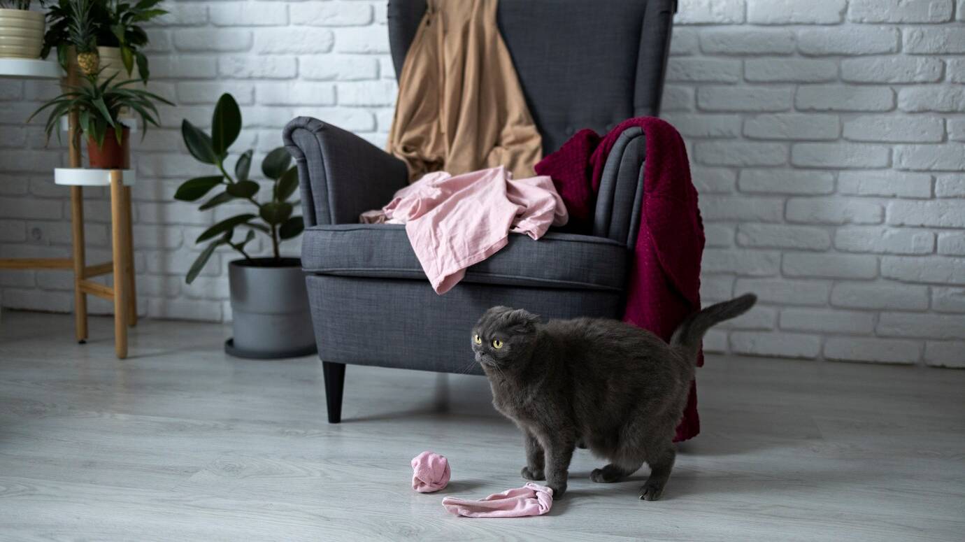 dirty-home-concept-with-clothes-chair-floor_23-2149363745
