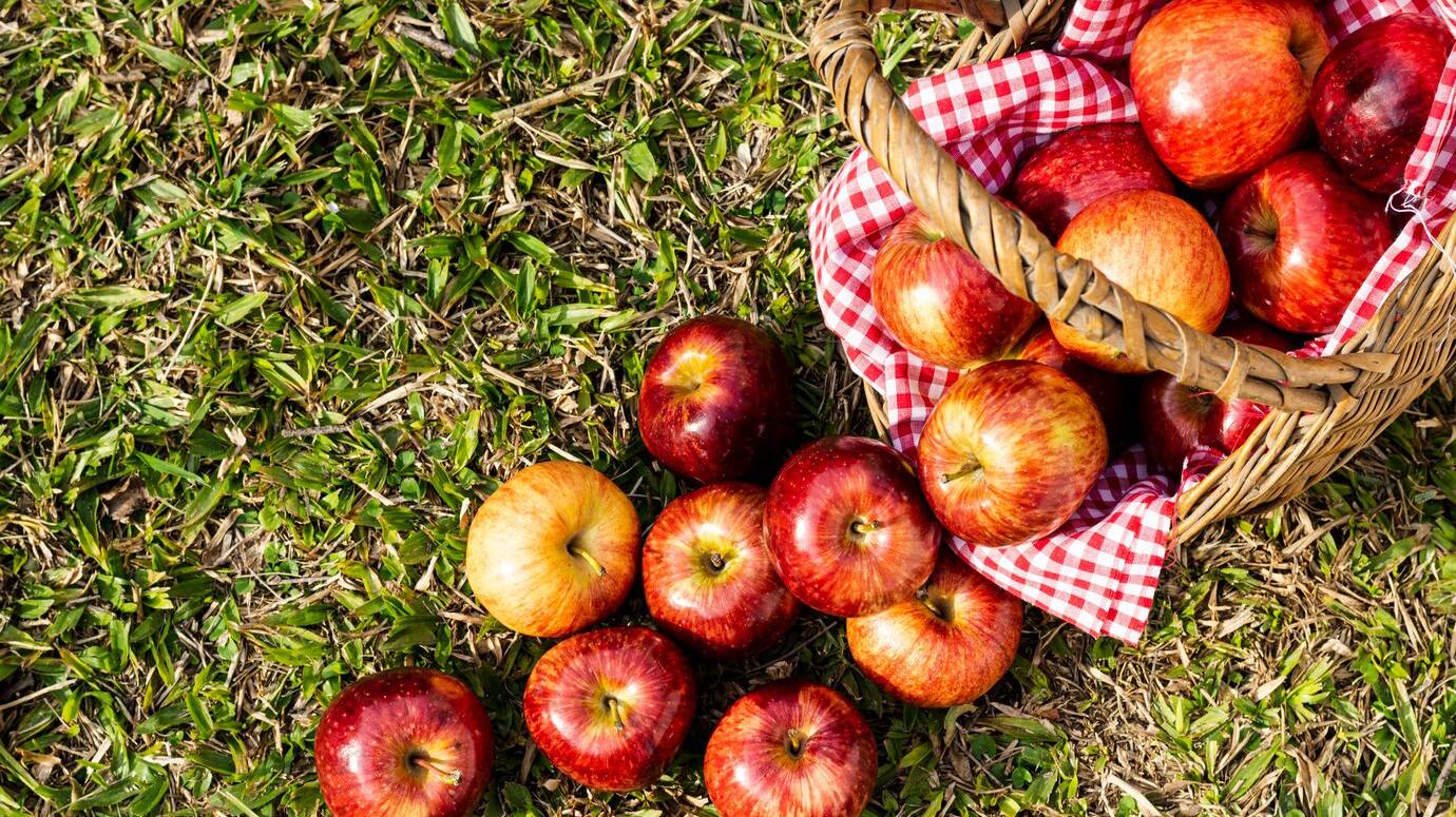 flat-lay-delicious-red-apples-straw-basket_23-2148247811