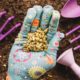 gardening-concept-with-seeds-hand_23-2147673254