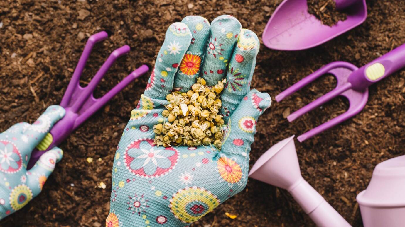gardening-concept-with-seeds-hand_23-2147673254 gardening-concept-with-seeds-hand_23-2147673254