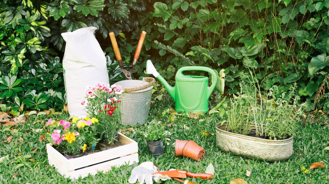 gardening-inventory-with-flowerpots-grass_23-2148028921 gardening-inventory-with-flowerpots-grass_23-2148028921