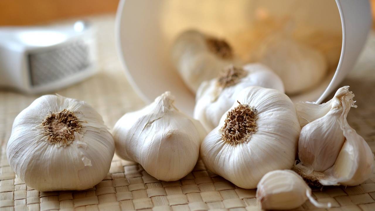 garlic-545223_1280