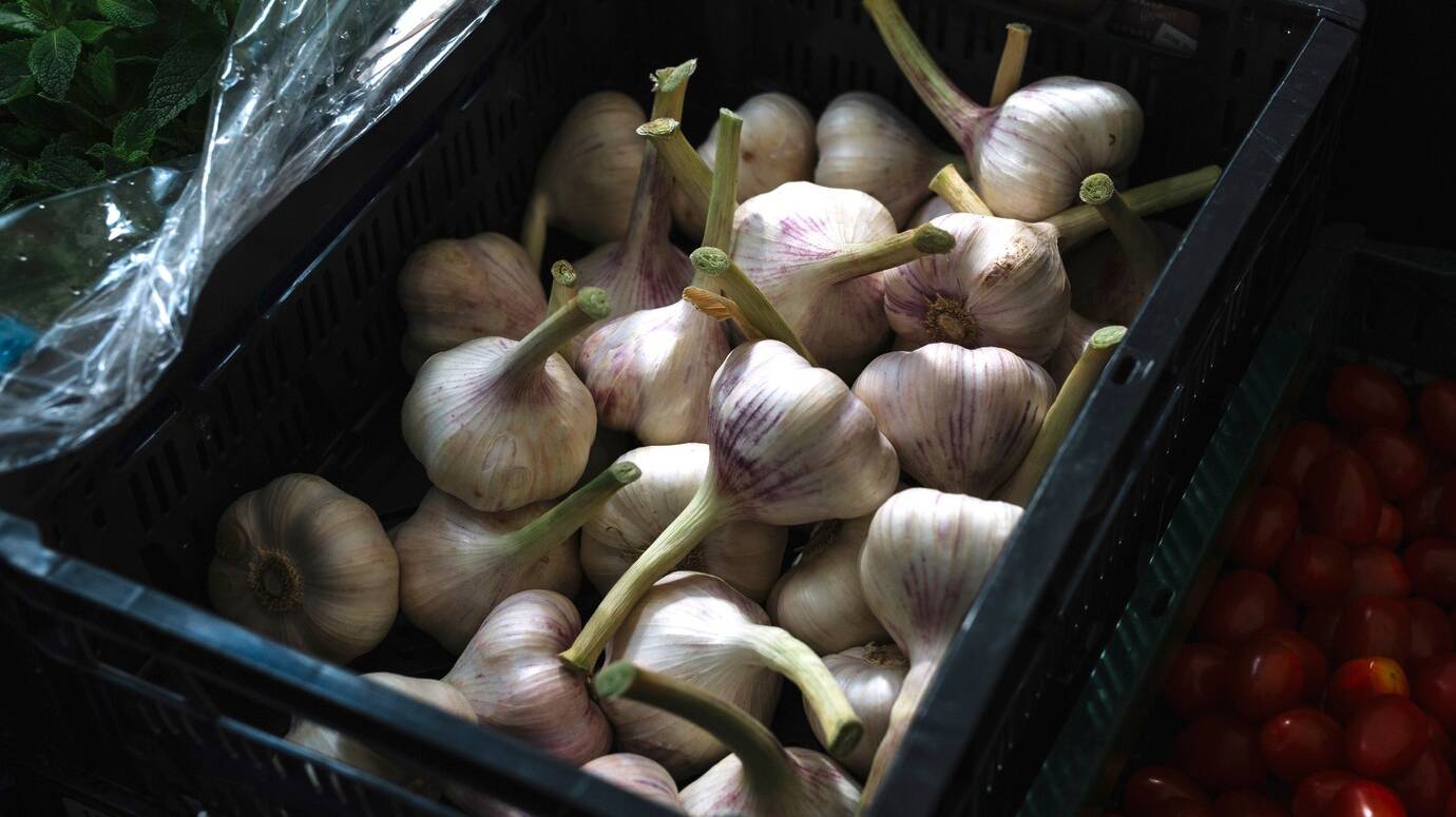 garlic-bulbs-plastic-crate_23-2147916347