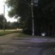 Гранта улетела в лес
