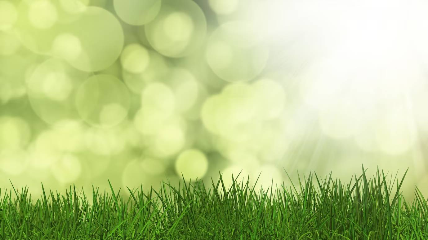 green-grass_1048-4896