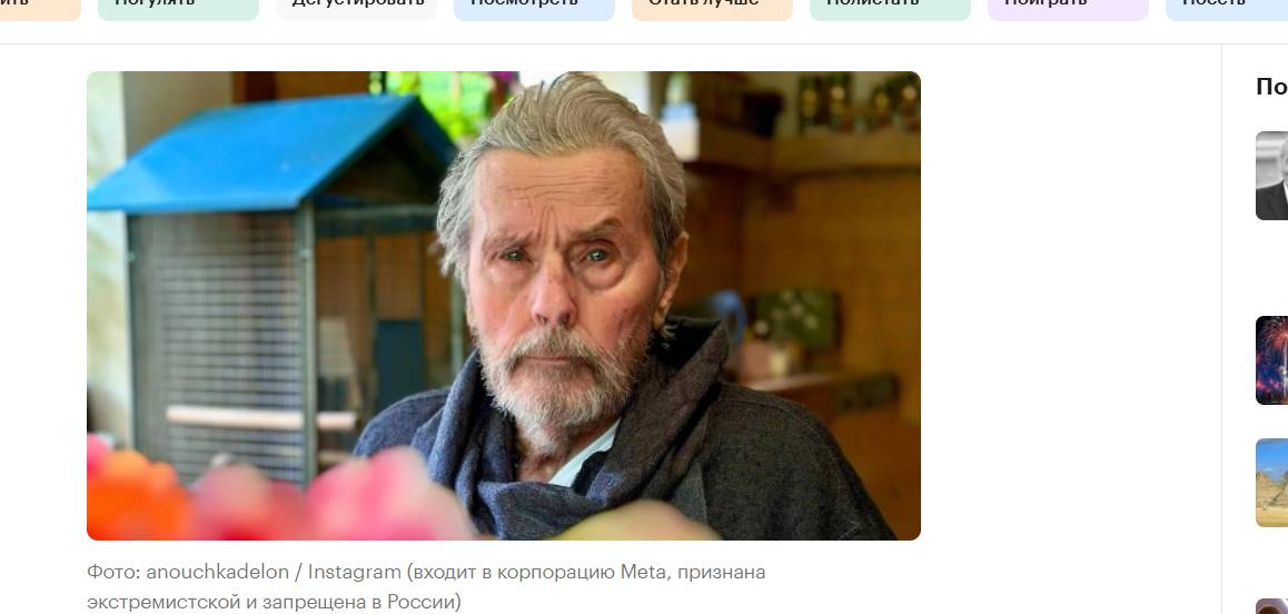"На ярком солнце" его славы: Как умер Ален Делон