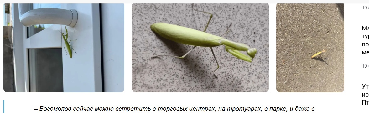 «Почему