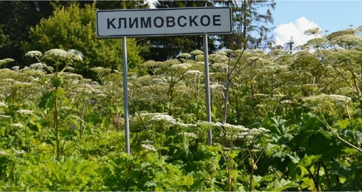 Климовское - въезд в поселок Климовское - въезд в поселок