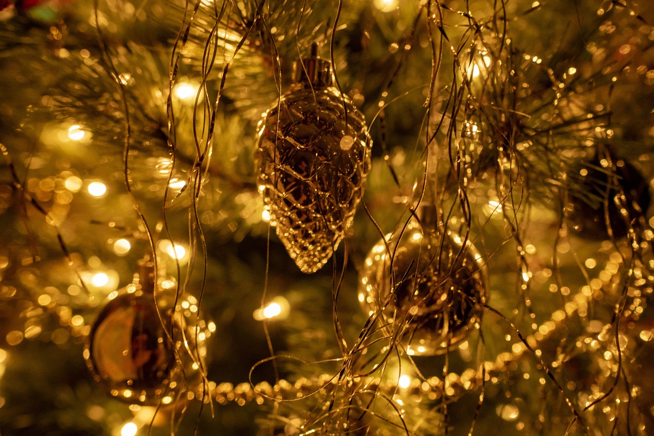 christmas-tree-6924746-1280055943