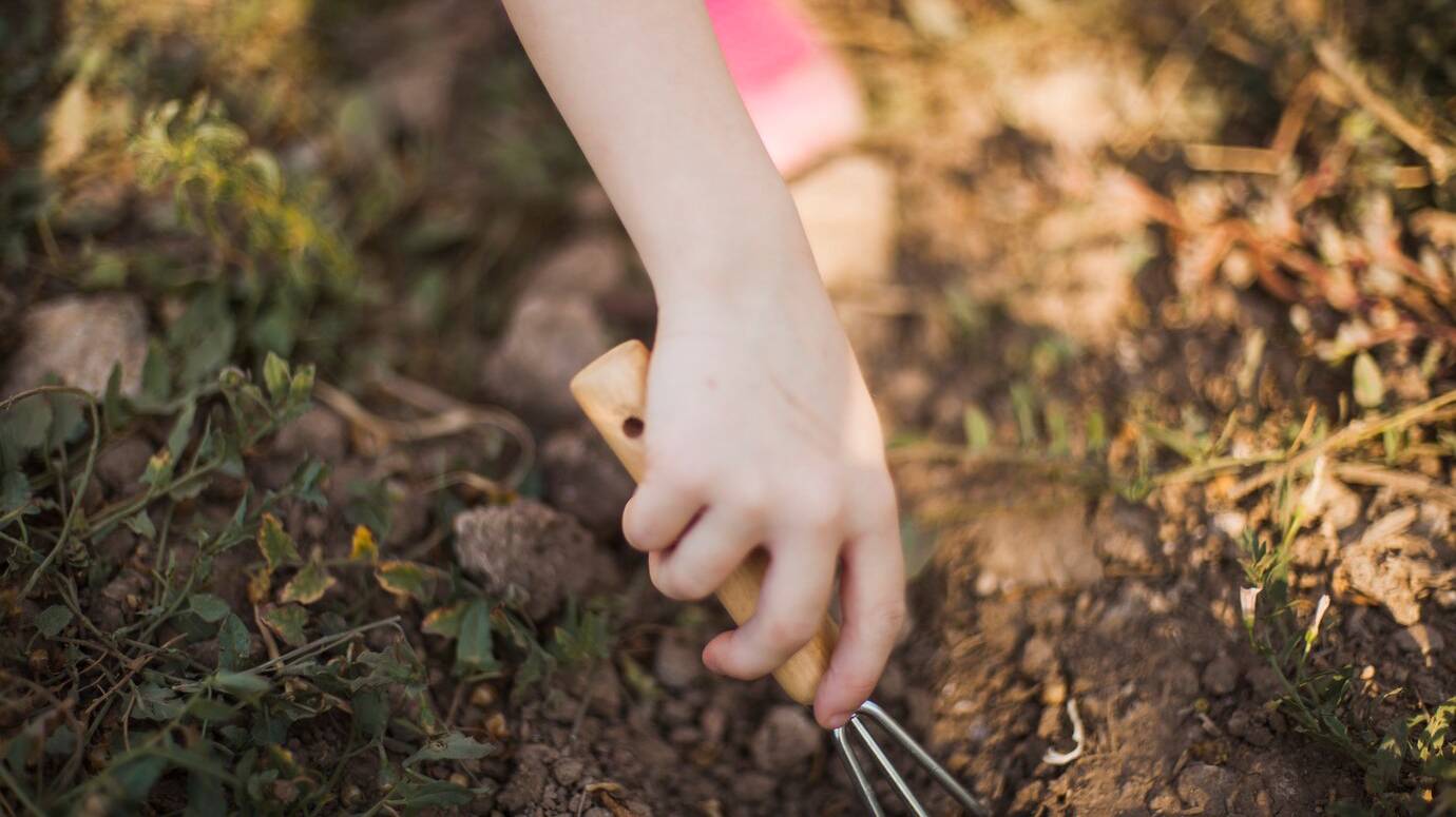 close-up-hand-digging-soil-with-gardening-fork_23-2147907087