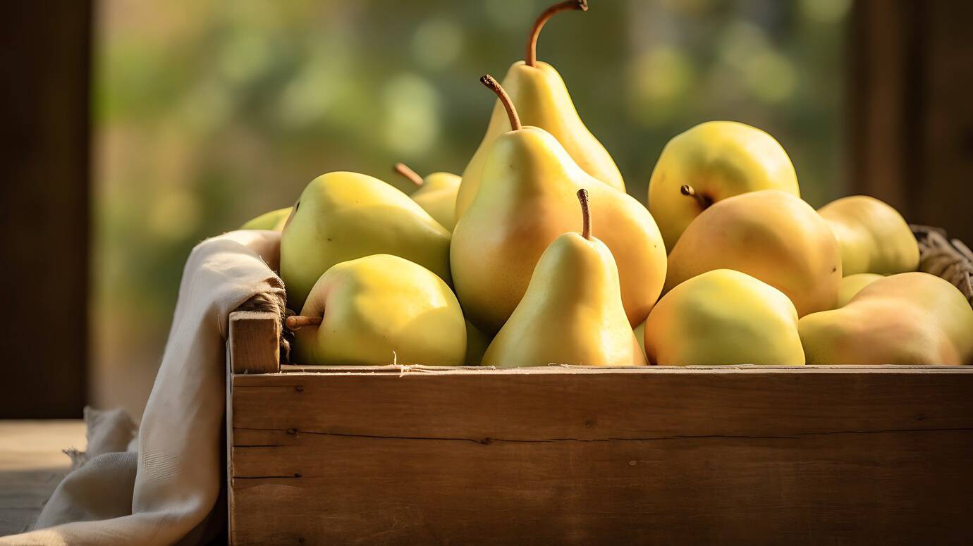 close-up-pear-seasonal-fruit-winter_23-2151035537 (1)