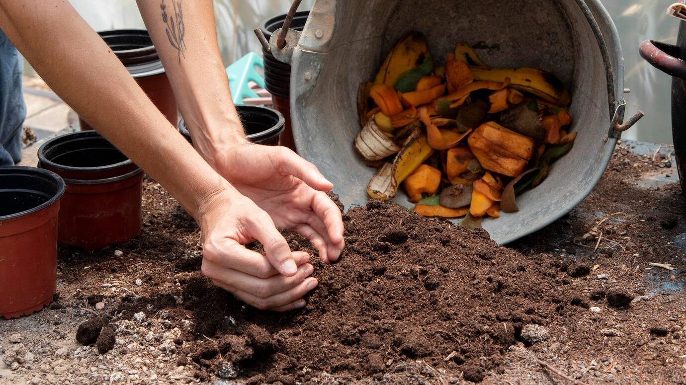 compost-still-life-concept_23-2149068920