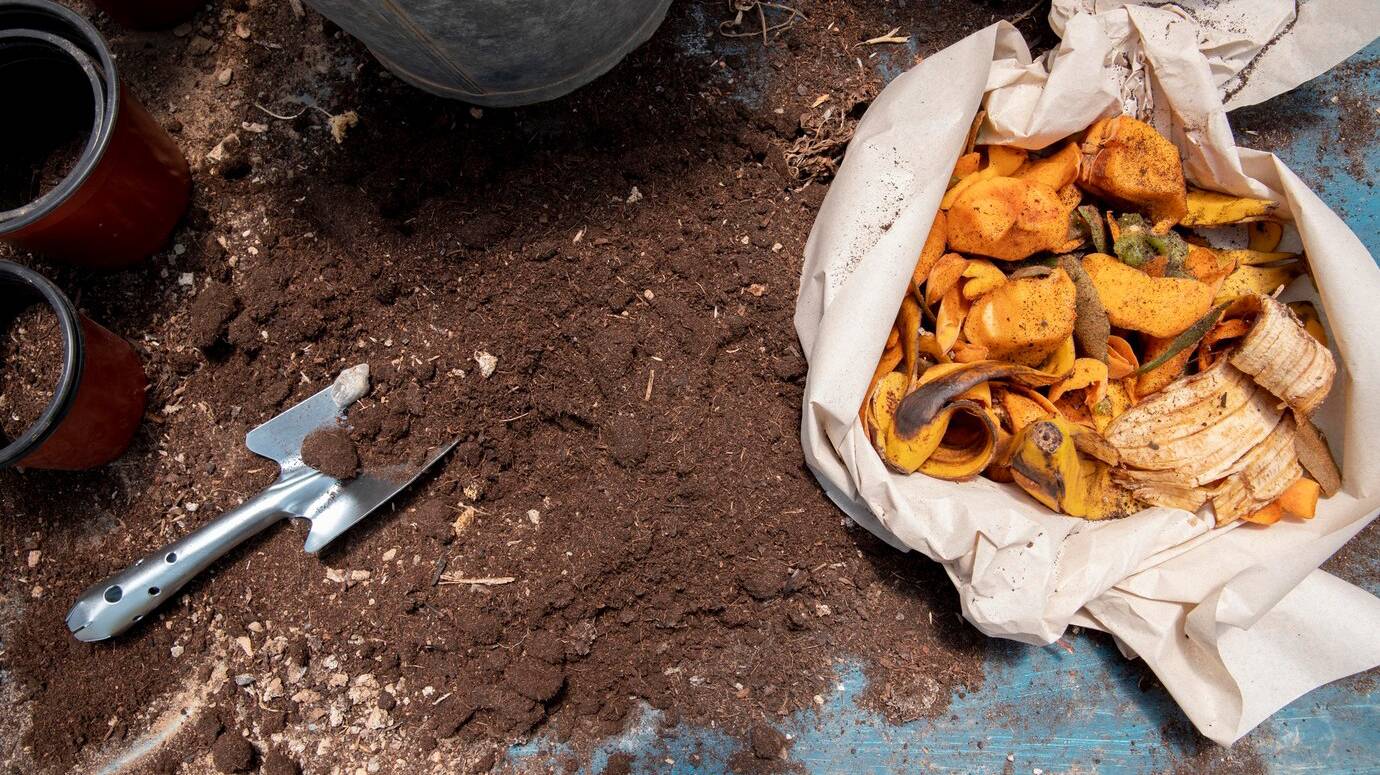 compost-still-life-concept_23-2149068932 compost-still-life-concept_23-2149068932