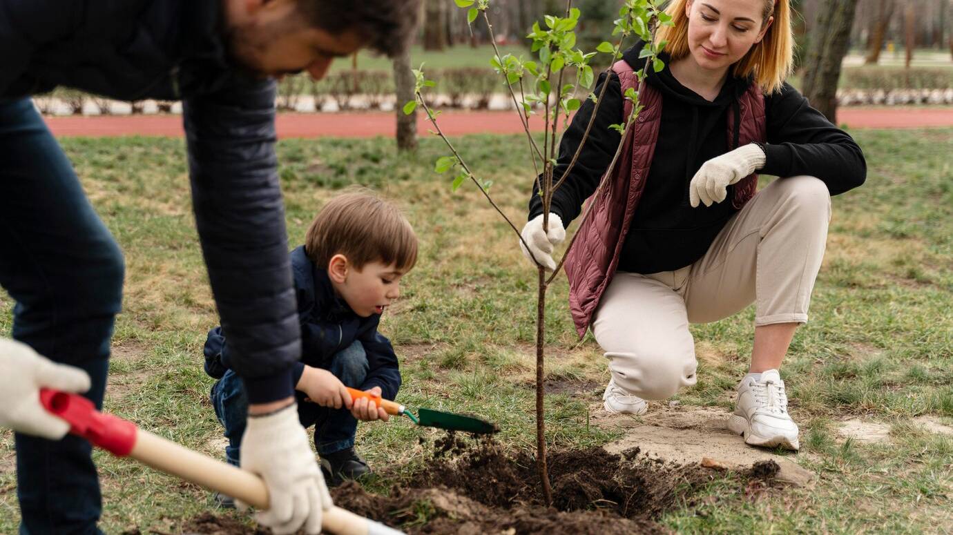 family-plating-together-tree_23-2148943260 family-plating-together-tree_23-2148943260