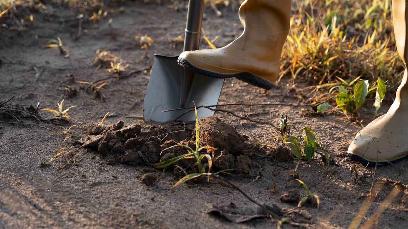 person-planting-tree-countryside_23-2149401181