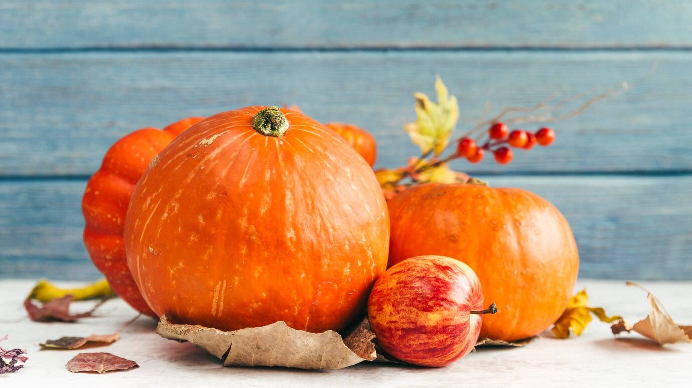 pumpkins-apple-table_23-2148206028 pumpkins-apple-table_23-2148206028