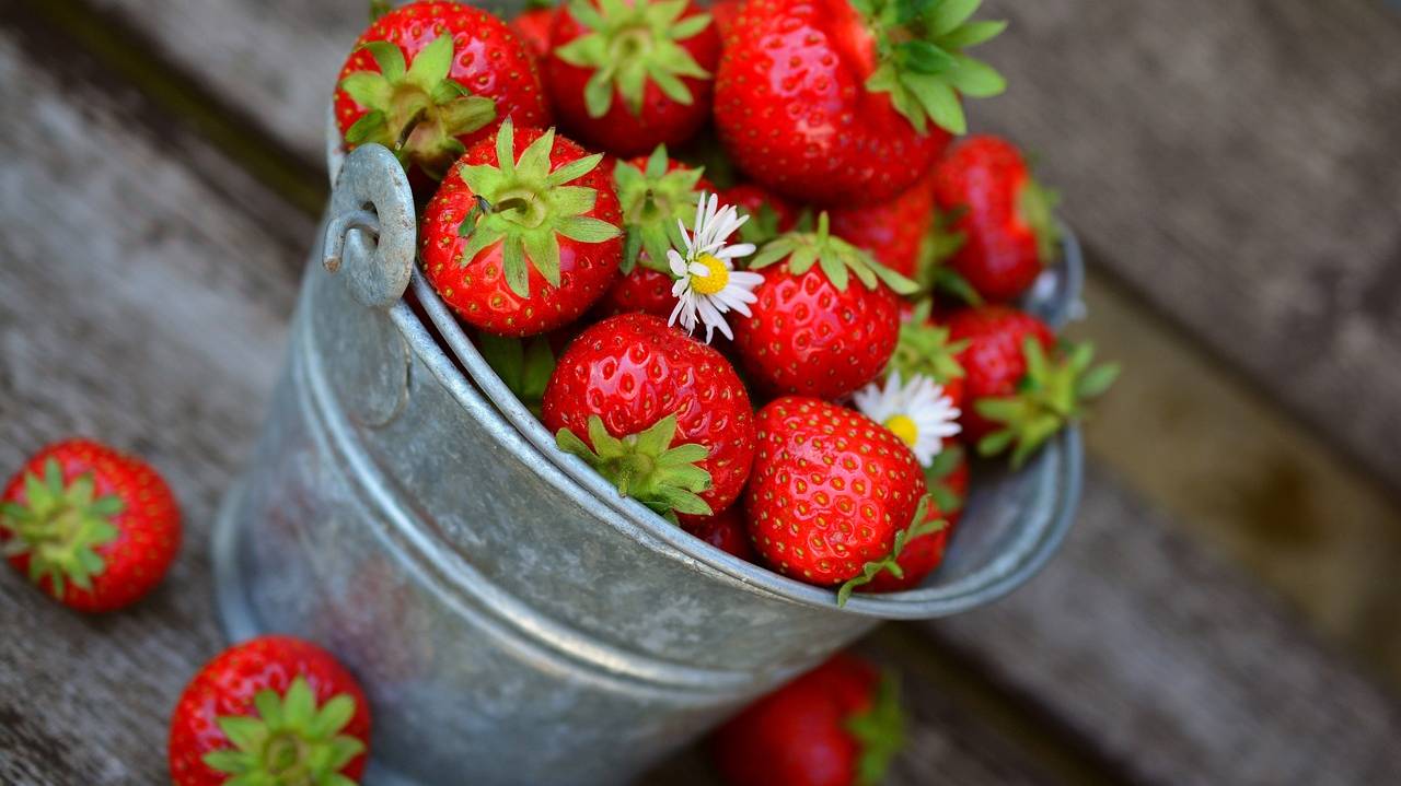 strawberries-3431122_1280