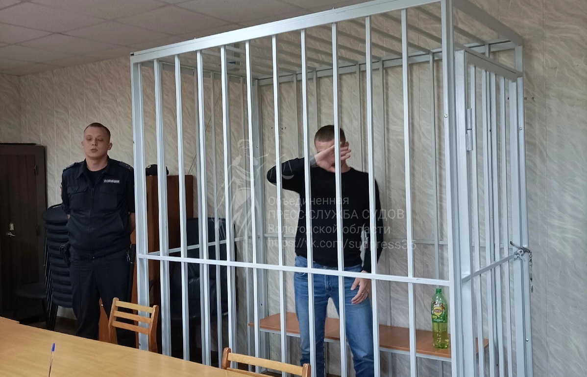 В клетке В клетке