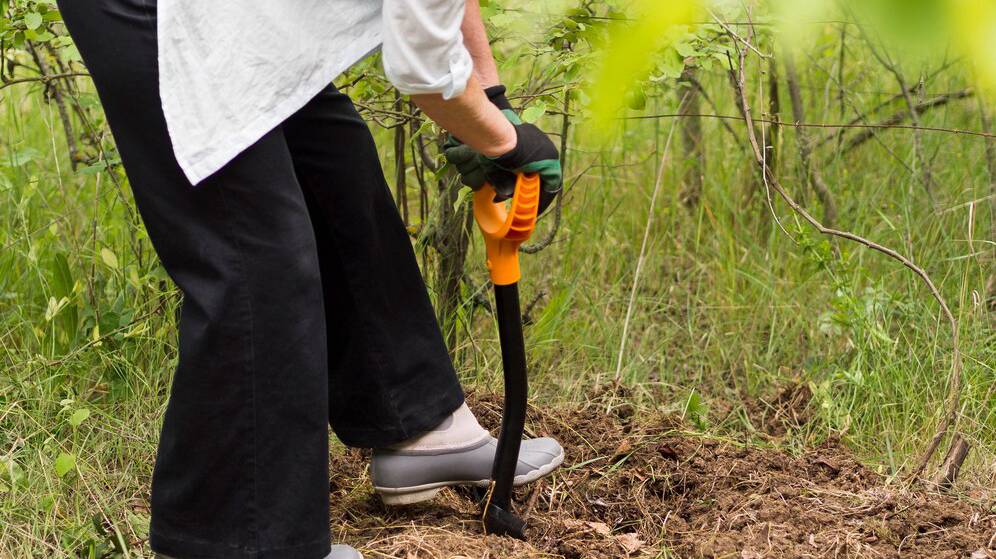 woman-digging-her-garden_23-2148580065 woman-digging-her-garden_23-2148580065