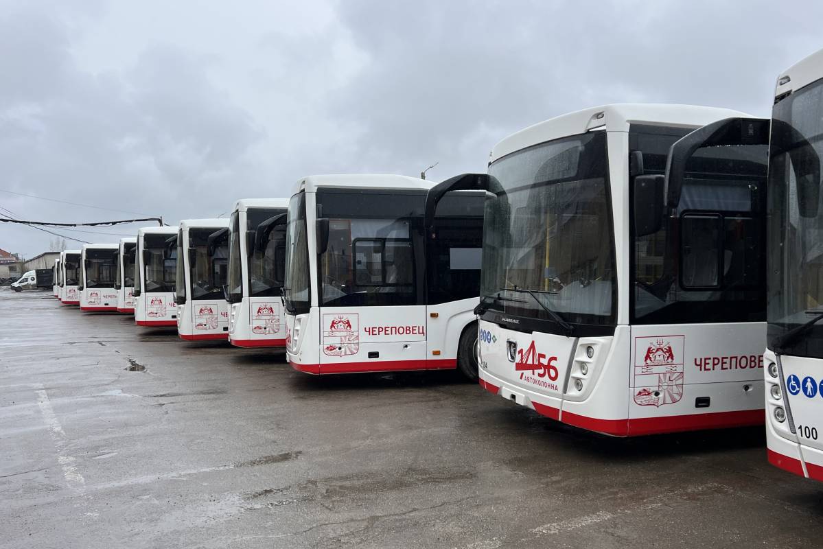 Автобусы Автобусы