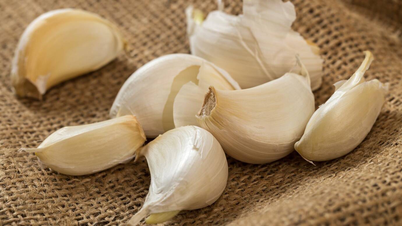 garlic-blanket_144627-12001 garlic-blanket_144627-12001