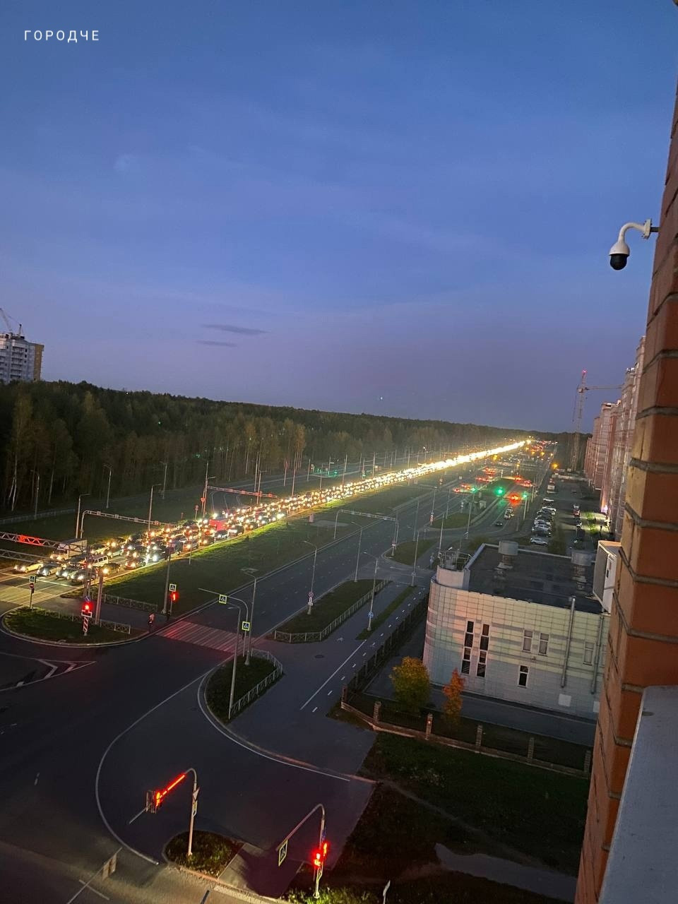«Шекснинский