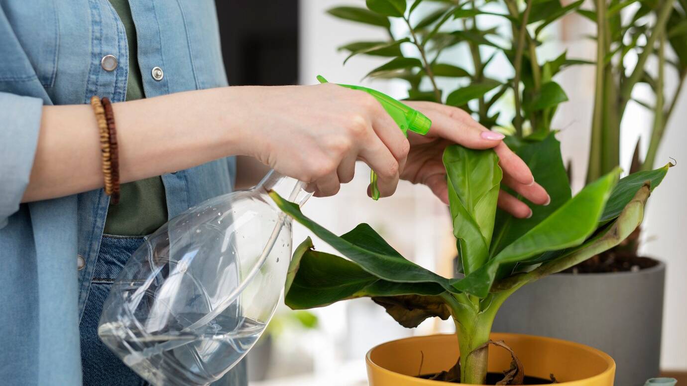 side-view-young-woman-watering-plant_23-2149383655