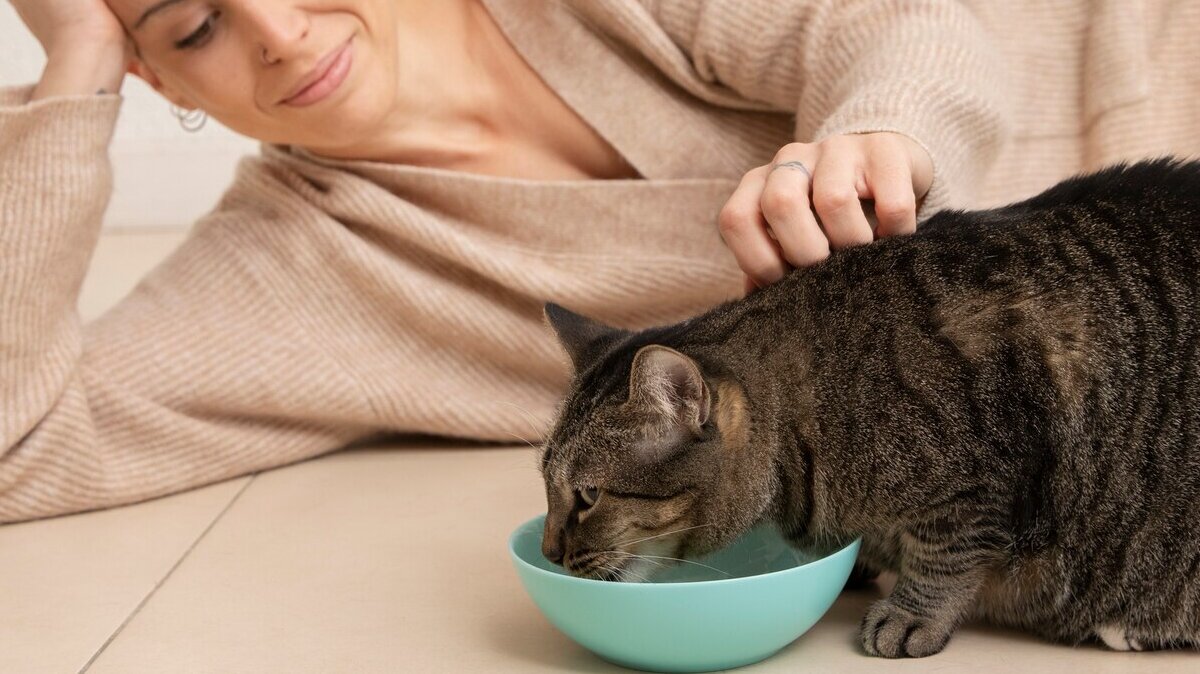 adorable-kitty-eating-her-owner_23-2149167107